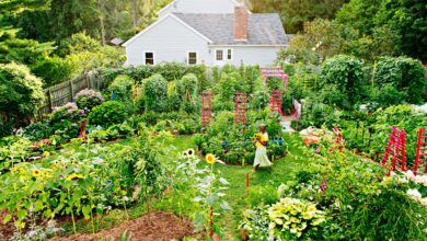 permaculture garden