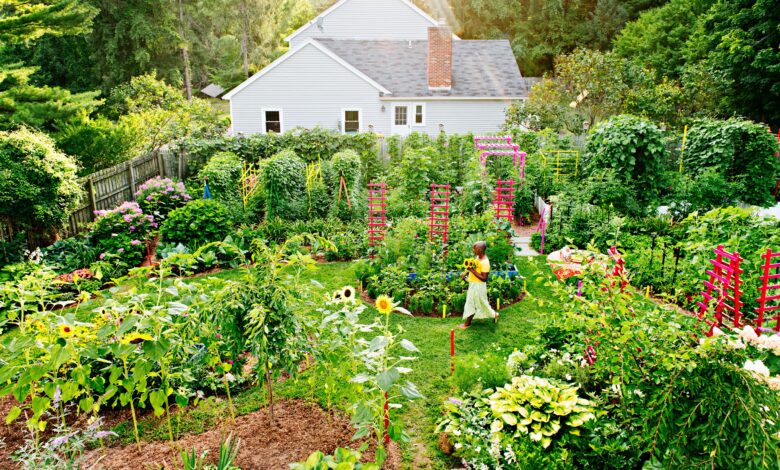 permaculture garden